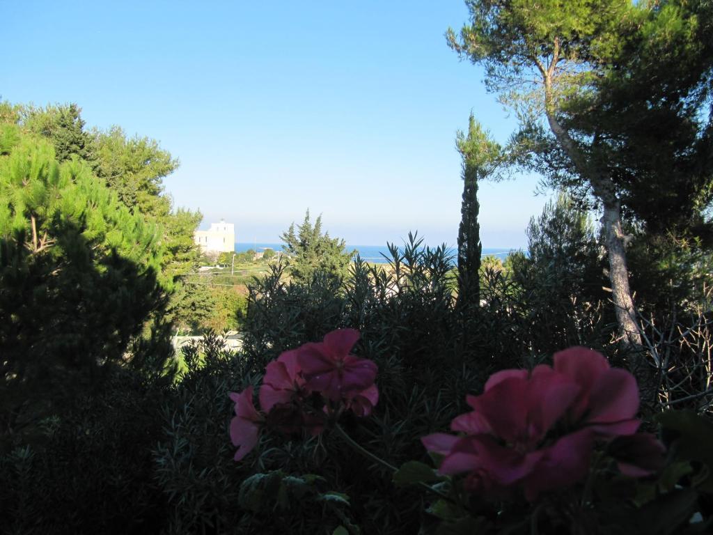 Villa Flora Studios & Apartments Conca Specchiulla Buitenkant foto